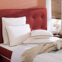Oreiller latex naturel et taie d'oreiller percale Someo 60x60