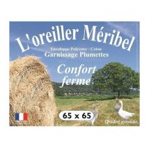 Oreiller plumes 65 x 65 cm ' Dodo