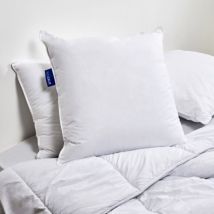 Oreiller Sensation Duvet - 65x65cm
