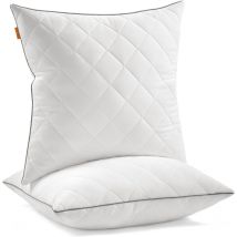 Oreillers, Lot de 2, Double Face, 60 x 60 cm, Housse Douce et Rafraîchissante, Garnissage 650 g, Hiver Été, Coussin, Lavage et Séchage en Machine à