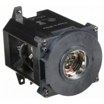 NEC - Original Lamp NPPA500U Projector