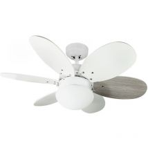 Cristalrecord - Orion Ac-ventilator In Weiß-asche