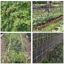 Ortofruutta -Netzwerk in anhaltendem Polypropylen - 1000 ml.