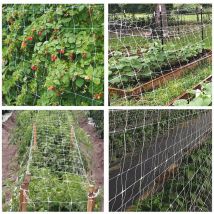 Ortofruutta -Netzwerk in anhaltendem Polypropylen - 1000 ml.