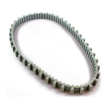 Correa corta gris, limpiafondos Dolphin