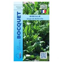 Oseille large de Belleville - 3g