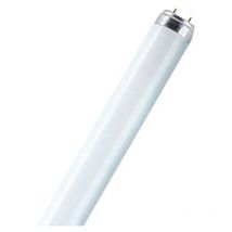 Lampe neon lumilux t8 energy saver g13 / 51w / 830 - - Osram