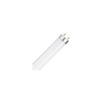 Ampoule Relax Blanc Chaud, 8 w, Blanc, 1 pc (Pack of 1) - Osram