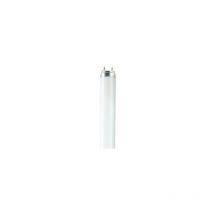 T8 Active l lampe fluorescente 18 w G13 Cold white - Osram