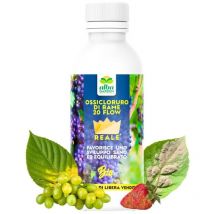 Ossicloruro di Rame 20% Flow Concime ce Biologico Vite Orto Olivo Bio x 1 Lt