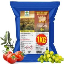 Ossicloruro di Rame 30% Concime ce Blu Biologico per Vite Orto Olivo Colture da Frutto Fragola x 1 Kg