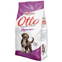Dynamic Energetico per Cani con Maiale da 15 Kg - Otto