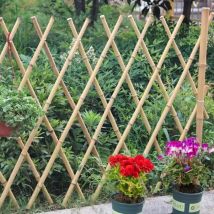 Odipie - Outdoor Patio Garden Fence, Clôture en treillis de saule 5 pcs 180x90 cm