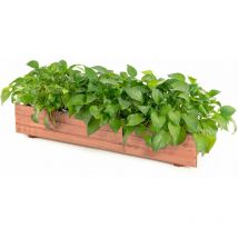 Gymax - Outdoor Raised Garden Bed Fir Wood Elevated Flower Herbs Planter Growing Box