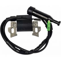 Dksfjkl - S-giant Bobine d'allumage de Rechange pour Moteur de Tondeuse à Gazon Honda Gx110 Gx120 Gx140 Gx160 Gx200 5 cv 6,5 cv