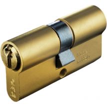 Ovale Messingzylinder mit 5 Schlösser für Schlösser zum Einfügen von zentraler und dezentraler Iseo Art. 8209 - Centrale