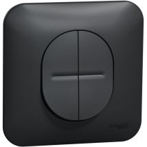 Ovalis double va et vient 10AX avec griffes Avec plaque -Anthracite SCHNEIDER S465214