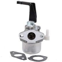 Oxoxo Carburateur Pour Briggs & Stratton 696065 697422 Remplace 796707 794304 Avec Joint