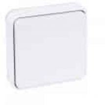 Interrupteur étanche bouton poussoir encastrable IP55 - Couleur - Blanc : Bouton poussoir 10A étanche IP55 encastré nf