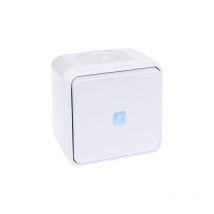 Bouton poussoir lumineux 10A - IP55 - oxxo Blanc