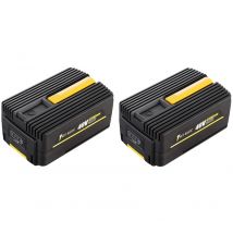 Gt Elec - Pack 2 batteries 40 Volts : 2 x capacité 2 Ah