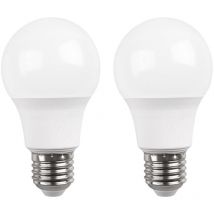 Lot De 2 Ampoules Led Standard E27 16 W (équivalent À 100 W, 1521 Lm, 15 000 H) Raydan Home