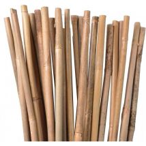 Pack 25 Tutor de Bambu 200 cm (8-10 mm) Varillas de bambu para Plantas y Arboles Tutores para Tomates y Plantas trepadoras