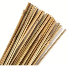 Pack 30 Tutores de Bambú 120 cm - Control Garden