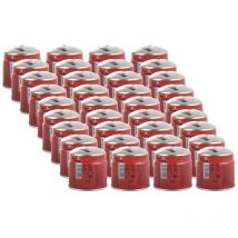 Alpentech - Pack de 36 Cartouches de gaz 190g Perçable Butane Propane Avec Sécurité stop-gaz