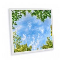 Delitech - Pack de 1 dalle led imprimée - Central Park - 600x600mm - Fabriqué en France (alimentation non fournie)