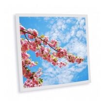 Delitech - Pack de 1 dalle led imprimée - Osaka - 600x600mm - Fabriqué en France (alimentation non fournie)