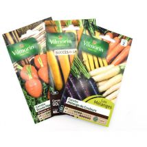 Pack de 3 sachets de graines de carottes originales et multicolores