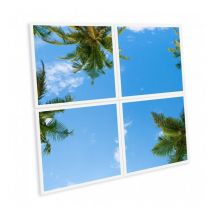 Delitech - Pack de 4 dalles led imprimées - California - 600x600mm - Fabriqué en France (alimentation non fournie)