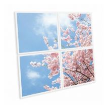Delitech - Pack de 4 dalles led imprimées - Tokyo - 600x600mm - Fabriqué en France (alimentations non fournies)
