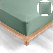 Pack drap housse king size 180 x 200 cm + 2 taies en percale 78 fils Tilleul