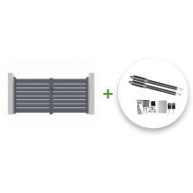 Casanoov - Elektrisches Flügeltor 3 m vogel 300 x 160 cm + Motorisierung ranger B150