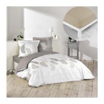 Pack housse de couette 220x240 cm Goyave + drap housse 140x190x30 Beige