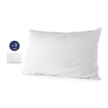 Pack moelleux 1 Oreiller + 2 taies colorées coton 57 fils blanc 50 x 70 cm