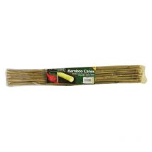 Pack Of 20 2ft (60cm) Bamboo Canes