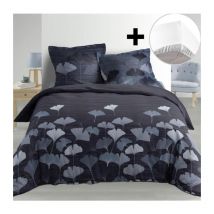 Pack parure de couette 220x240 cm 100% Percale Alix + drap housse 140x190 Blanc