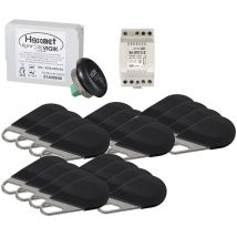 Pack avec 1 central helight 2 et de 20 badges hecv2n programmés avec alims Aiphone