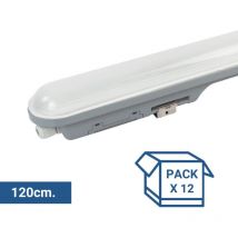 Pack x 12 - verknüpfbare led Feuchtraumleuchte 36W - 120cm -