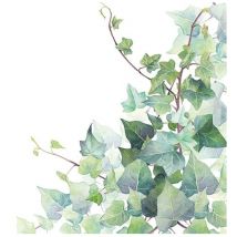 Packung Mit 20 Papierservietten 33 X 33 Cm – Efeublätter – Ambiente