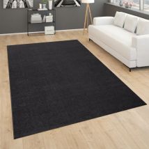 Paco Home Alfombra Salón Pelo Corto Dormitorio Moderno Motivo Monocolor Negro Gris 80x150 cm