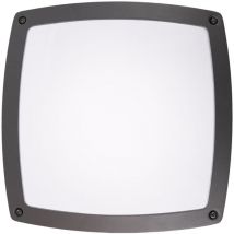 Paco Home - Luminaire Extérieur Lampe Murale Abri De Jardin Applique IP54 3000K Anthracite, Type 2 - 2x E27