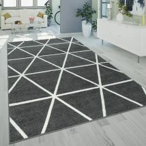 Paco Home - Tapis De Salon à Poils Ras Moderne Design Géométrique Motif Losanges Anthracite 240x320 cm
