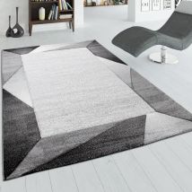 Paco Home - Tapis De Salon, Tapis à Poils Ras Avec Bordure Et Effet 3D, Gris Et Beige 120x170 cm