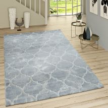 Paco Home - Tapis Poils Ras Moderne Motif Marocain Gris 80x150 cm