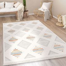 Paco Home - Tapis Salon Chambre Adulte Poils Ras Moderne Boho Ethnique Scandinave Franges 200x290 cm, Multicolore 5
