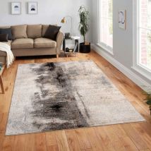 Paco Home - Tapis Salon Chambre Adulte Poils Ras Motif Abstrait Vintage Lavable En Machine 160x220 cm, Multicolore 3